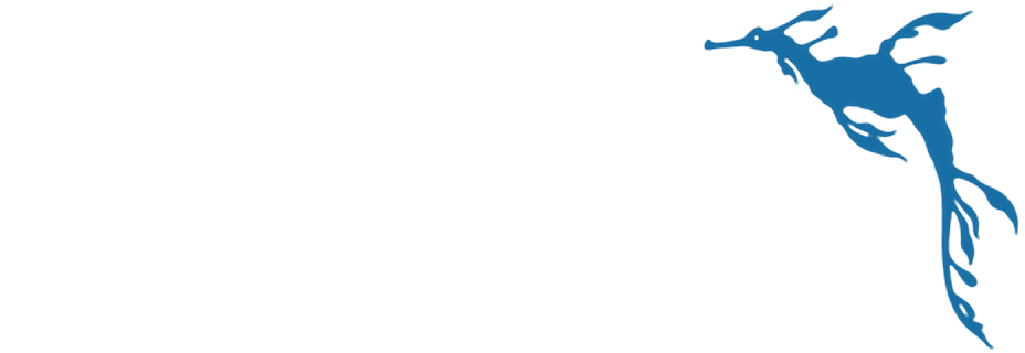 Capel Sound Chiropractic